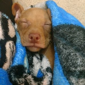 Meet your Posher, Jenn